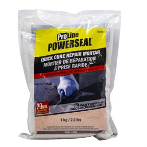 123170 PROLINE MORTAR QUICK CURE REPAIR 1KG