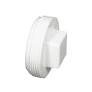 P1154 PVC CLEANOUT PLUG 4