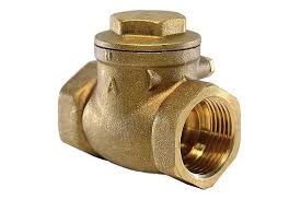 801100 BRASS CHECK VALVE THREADED 1